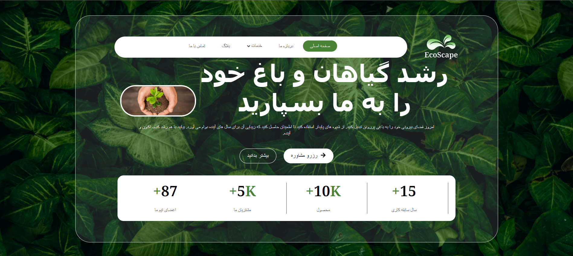 طراحی سایت خدمات مراقبت از گیاهان - FullStack با TailWind