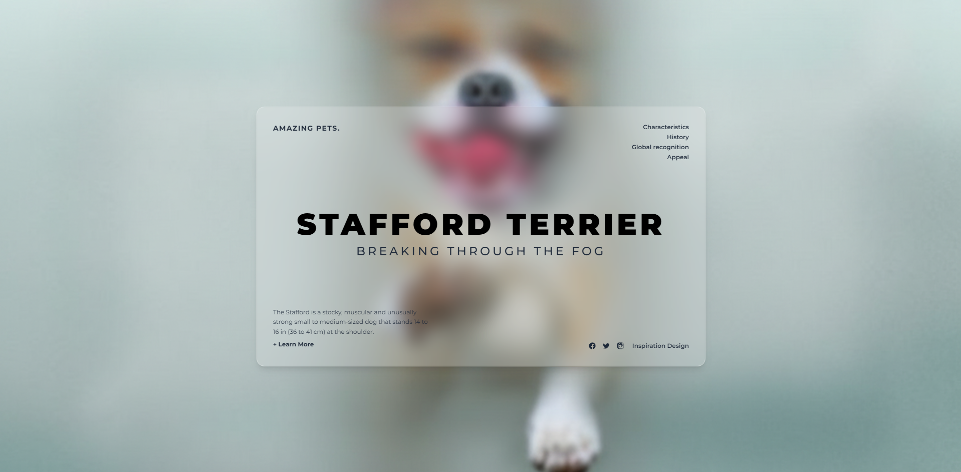 لندینگ پیج فروشگاه کفش - نمونه کار دانشجوی آروین شاه پسند